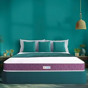 Sleepwell Ortho Mattress