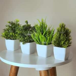 Decorative Grass Plant For Home Decor