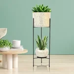 Indoor Plants with Double Decker Stand