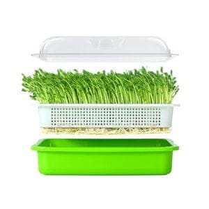 Garden Seed Sprouter Tray