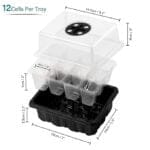 Seedling Tray