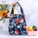 Printed Lunch Bag Thermal Portable Tiffin Bag