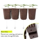 Seedling Tray