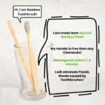 Bamboo Wooden Toothbrush